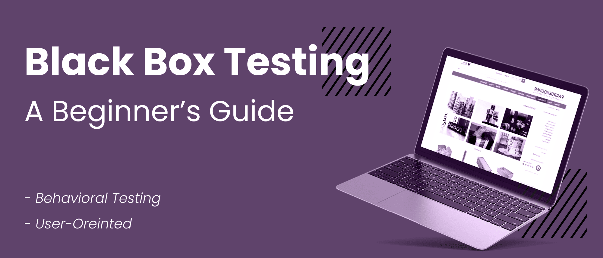A Beginner Guide to Black Box Testing Hero