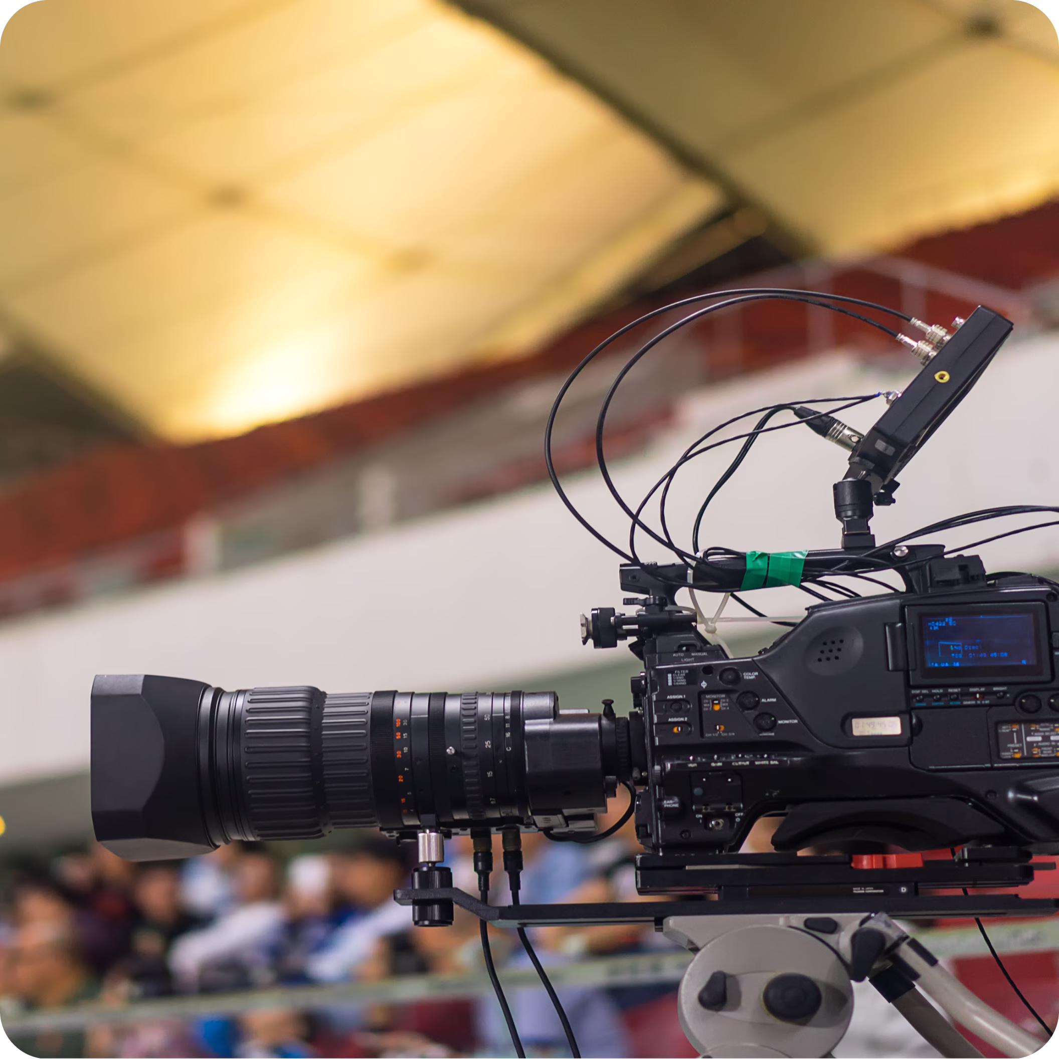 Media & Entertainment