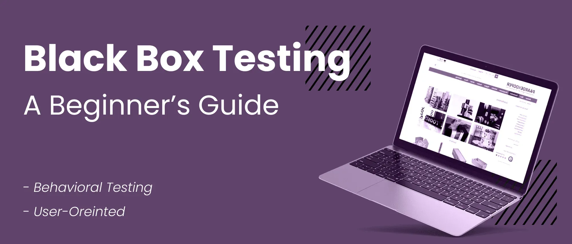 What Is Black Box Testing? A Beginner's Guide Hero
